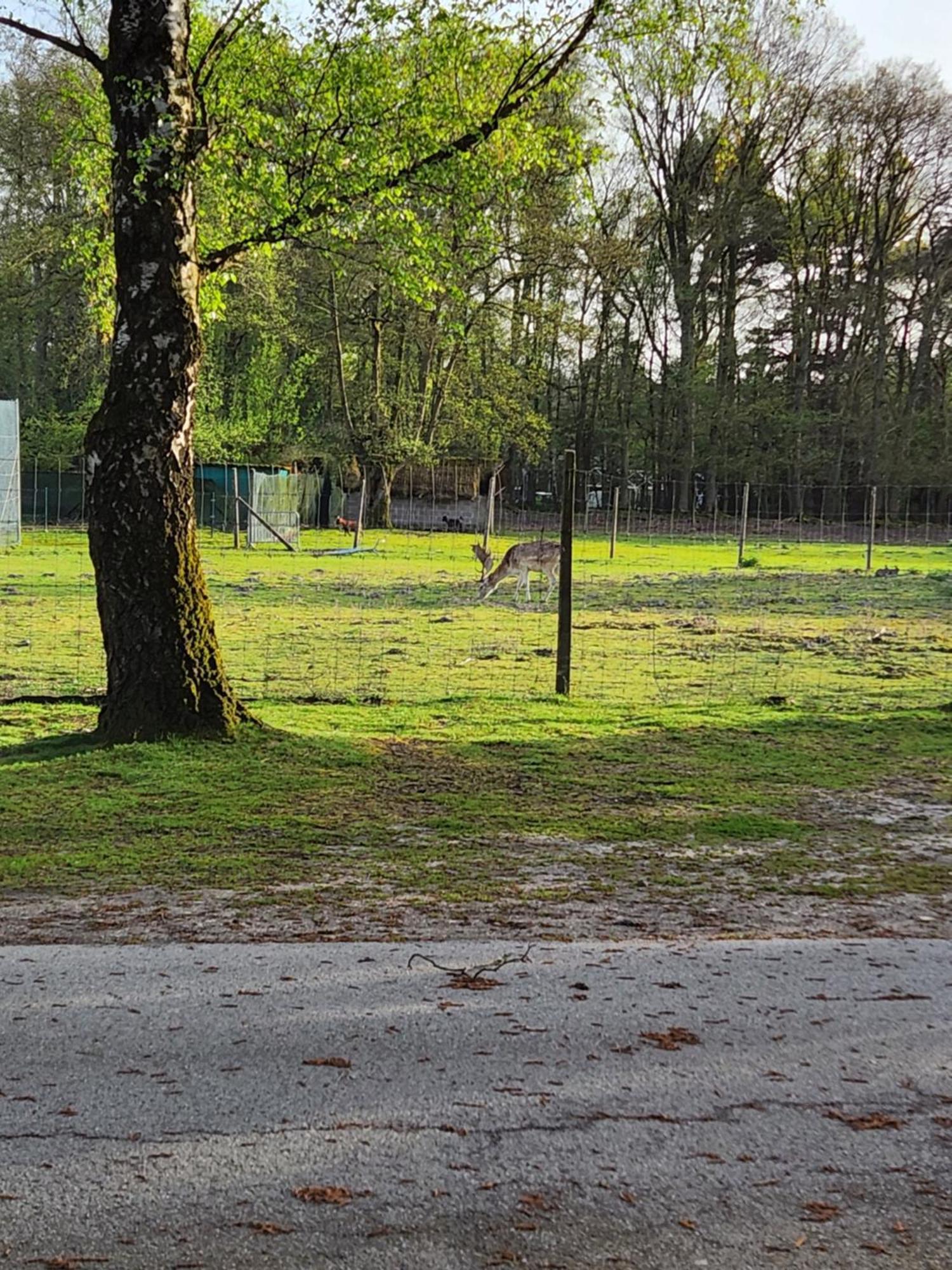 Bungalow Willerby Maasmechelen Esterno foto